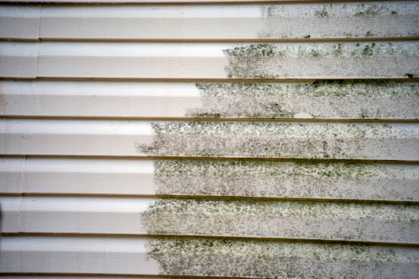 Best Siding Removal and Disposal  in Glenns Ferry, ID