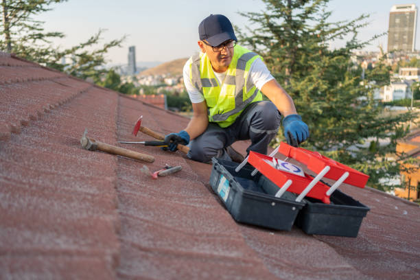 Best Vinyl Siding Installation  in Glenns Ferry, ID